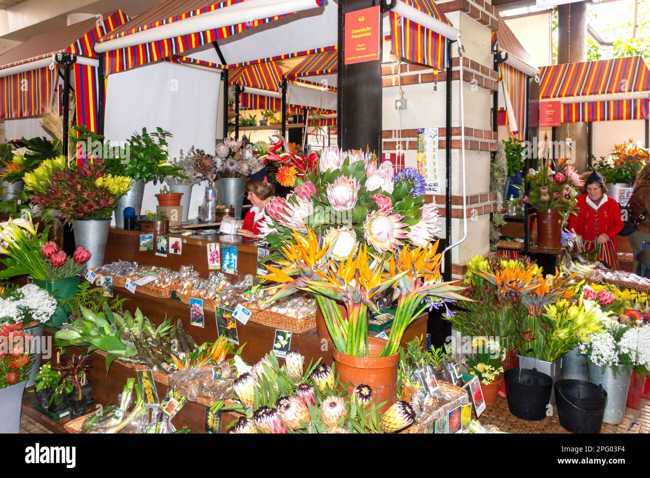 Flower shop inside Mercado dos Lavradores (Farmers' Market), Rua Brigadeiro Oudinot, Funchal, Madeira, Portugal Stock Photo
