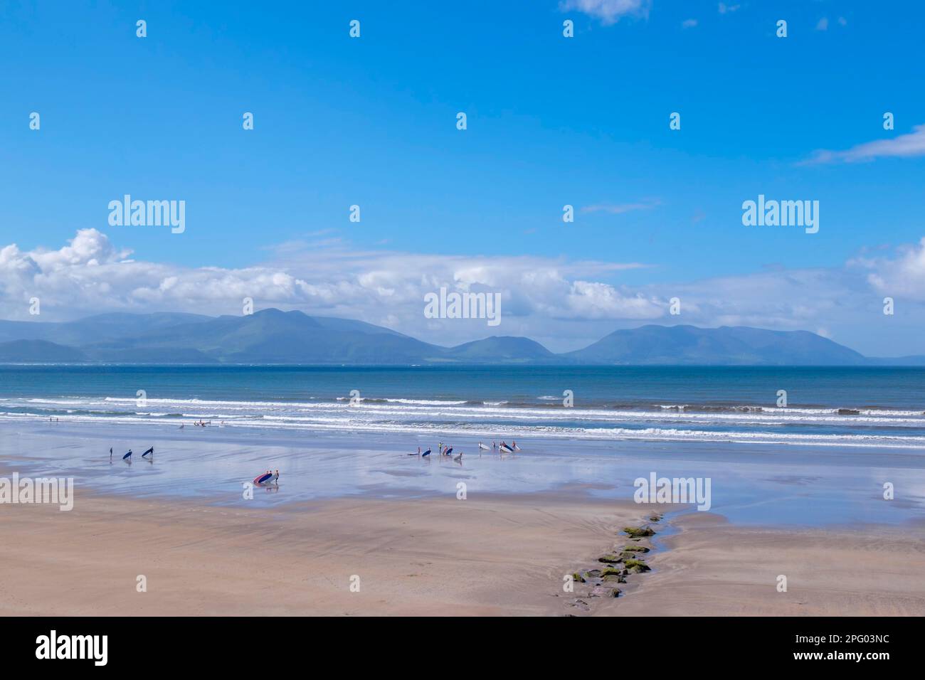Windsurfers on Inch Beach, Dingle Bay, Dingle Peninsula, County Kerry, Ireland Stock Photo