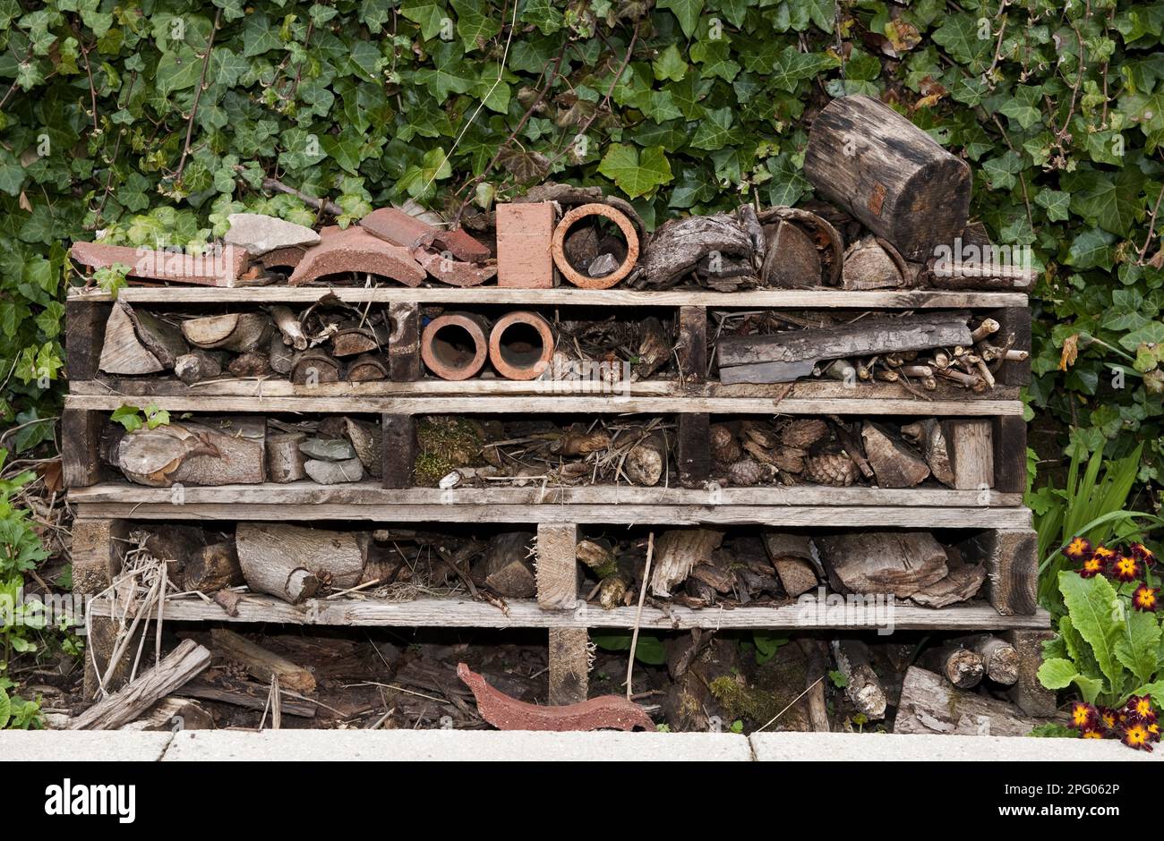 'Insect Hotel' habitat creation on primary school premises, Cumbria