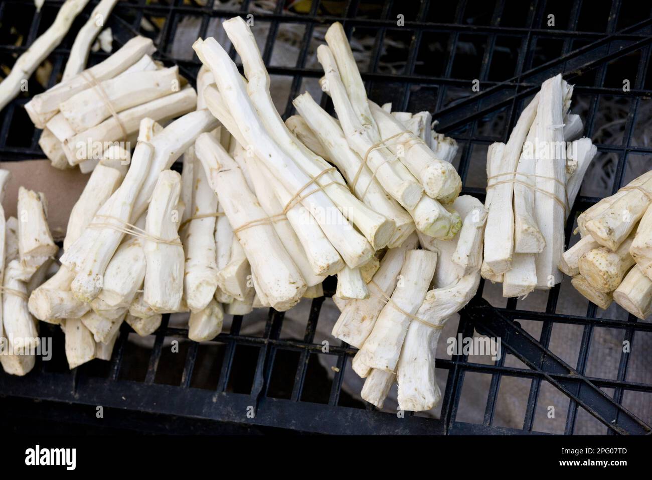 Horseradish (Armoracia rusticana) roots, for sale at fruit and vegetable market, Sigishoara