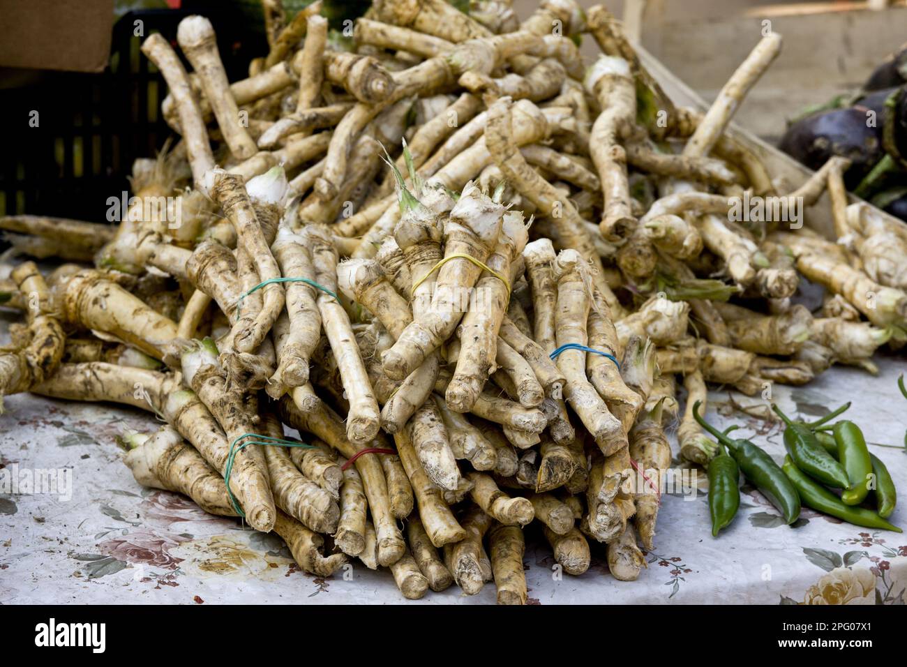Horseradish (Armoracia rusticana) roots, for sale at fruit and vegetable market, Sigishoara