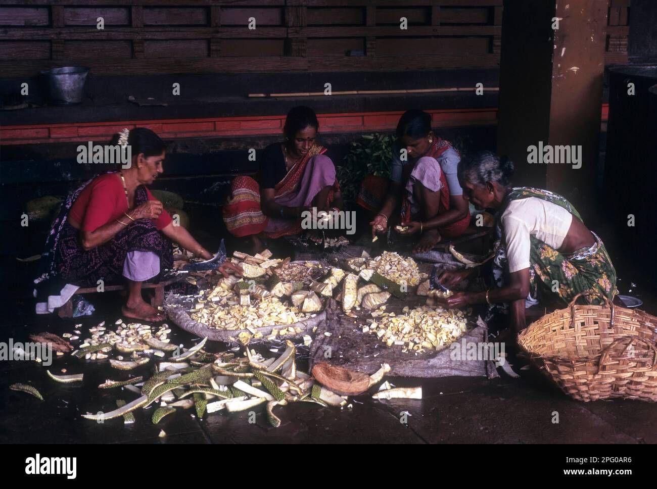 Women cutting raw jackfruit to make side dish of lunch at Madhur Sri Anantheshwara Vinayaka Temple, kerala, India Stock Photo