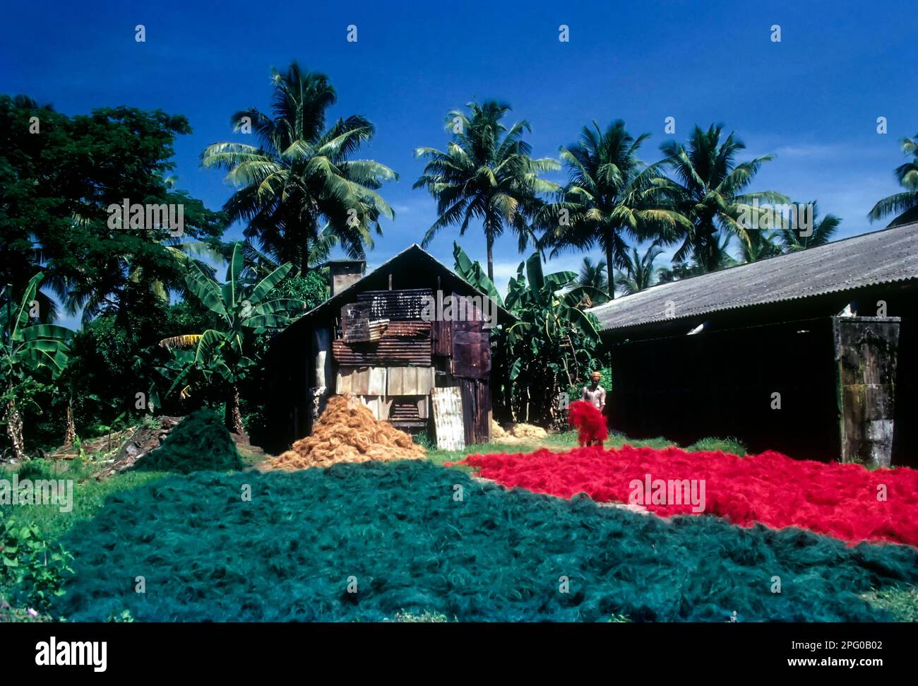 Coconut fibre factory hires stock photography and images Alamy