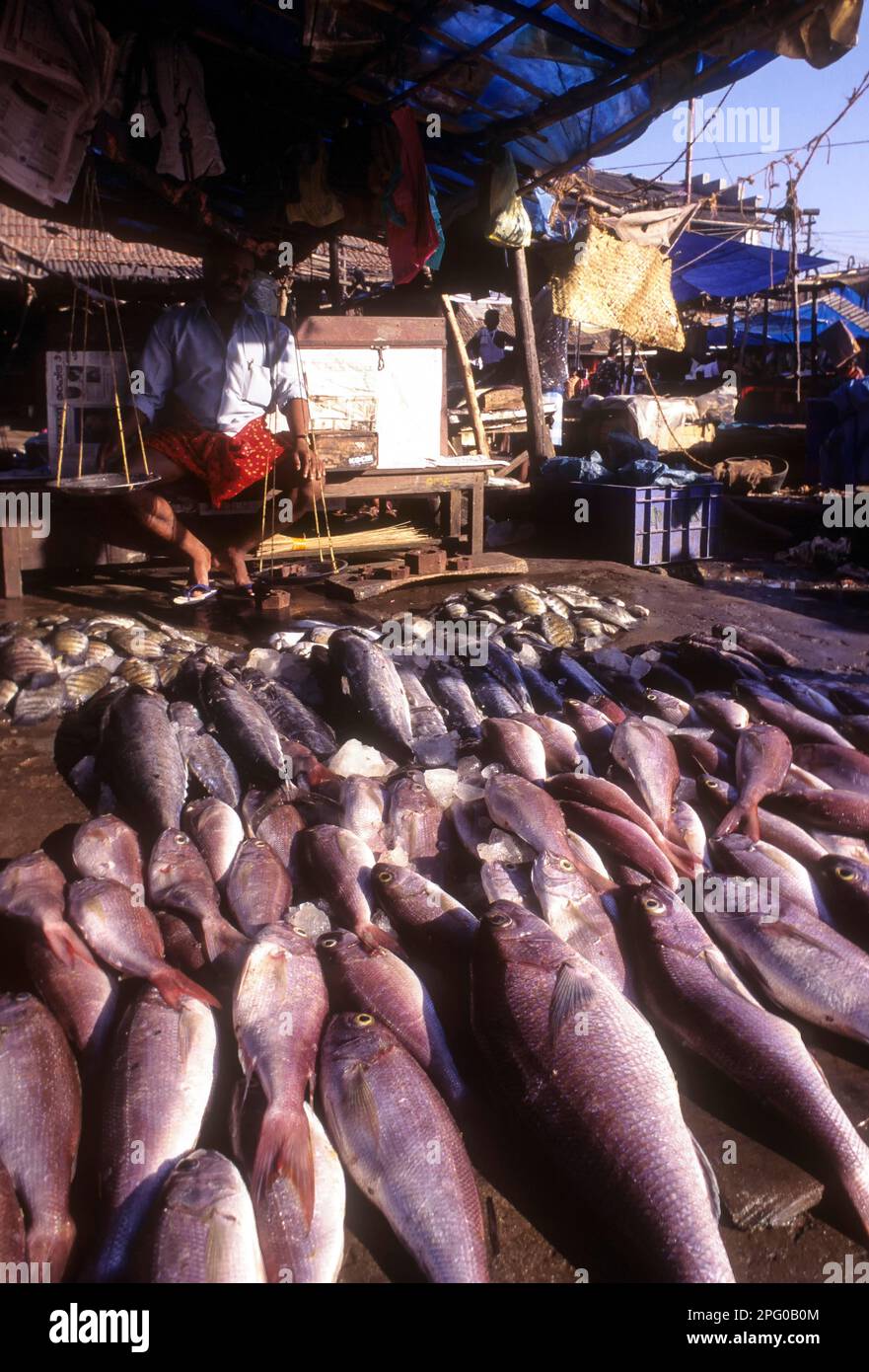Fish market in Ernakulam, Kerala, India, Asia Stock Photo Alamy