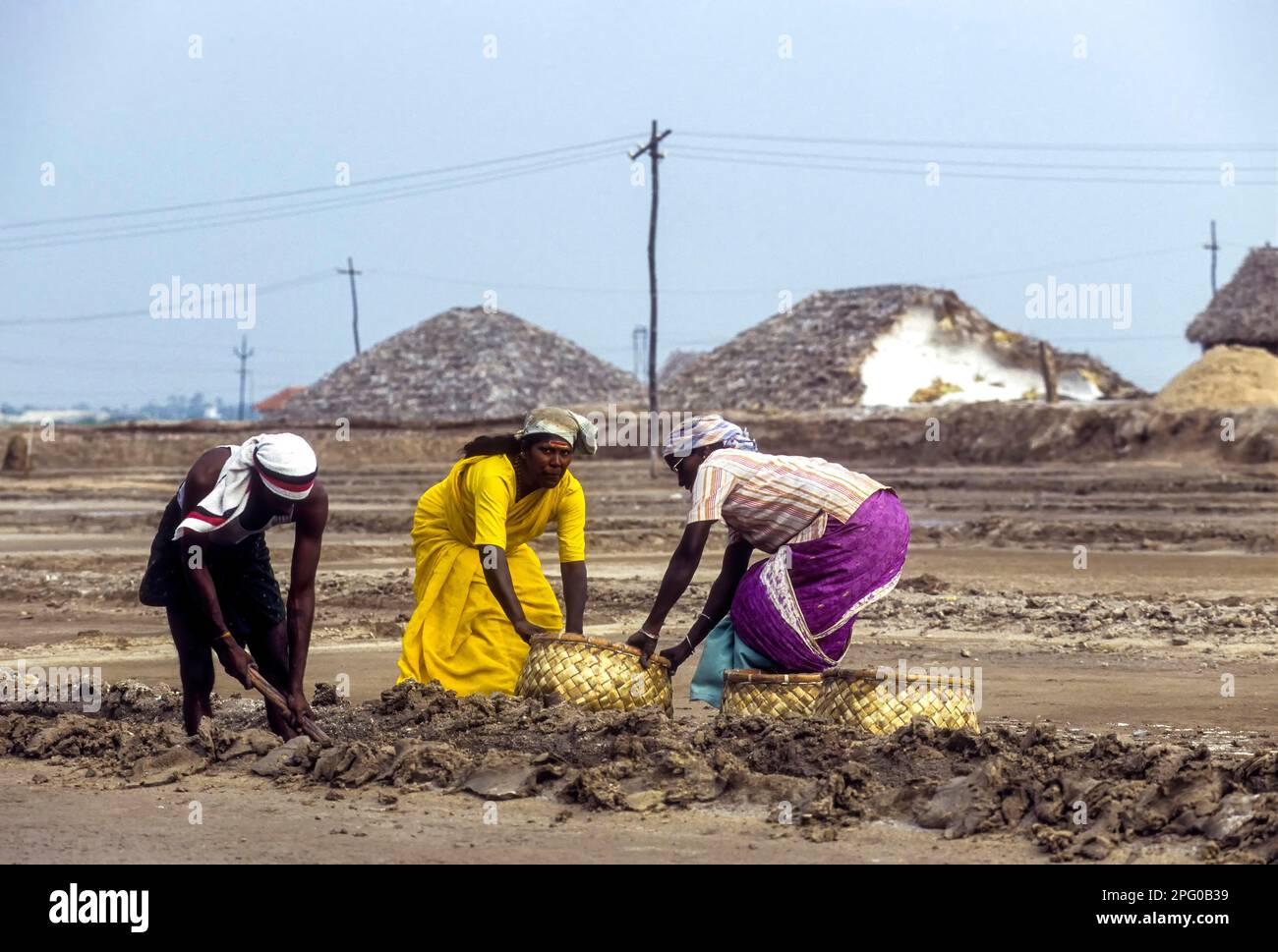 Workers in salt pan at Thoothukudi Tuticorin, Tamil Nadu, South India