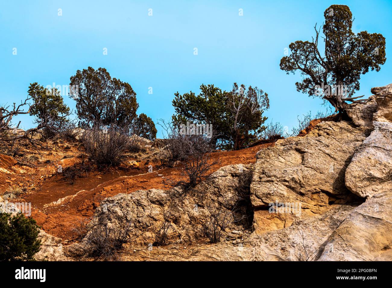 Red sandstone rock features, showing interesting texture, pits, pock