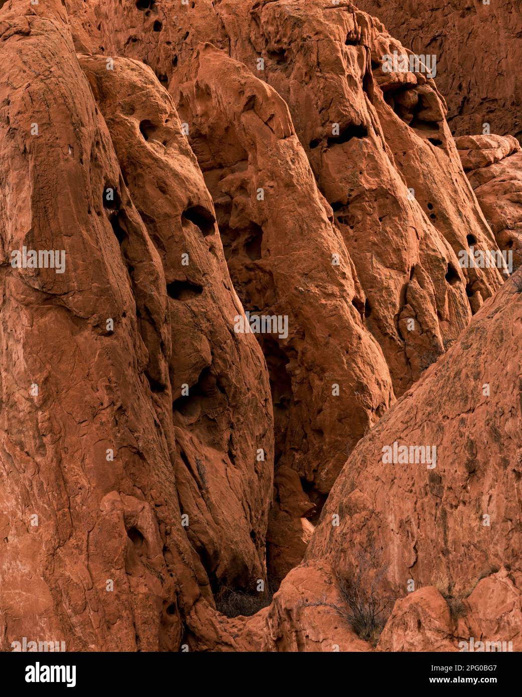 Red sandstone rock features, showing interesting texture, pits, pock marks, wind and water erosion, crevices, smooth edges, tree growing fin the rocks Stock Photo