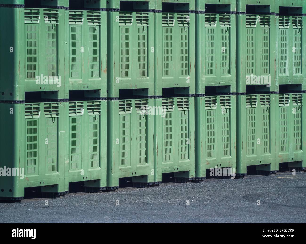 Big green plastic crates for fruits are stacked and waiting to be filled with fruits, apples, pears. Big industrial fruit crates stored outside, stack Stock Photo