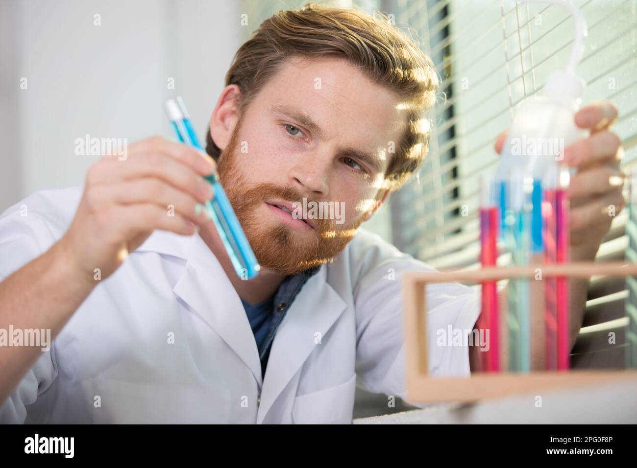 young investigator checking test tubes Stock Photo