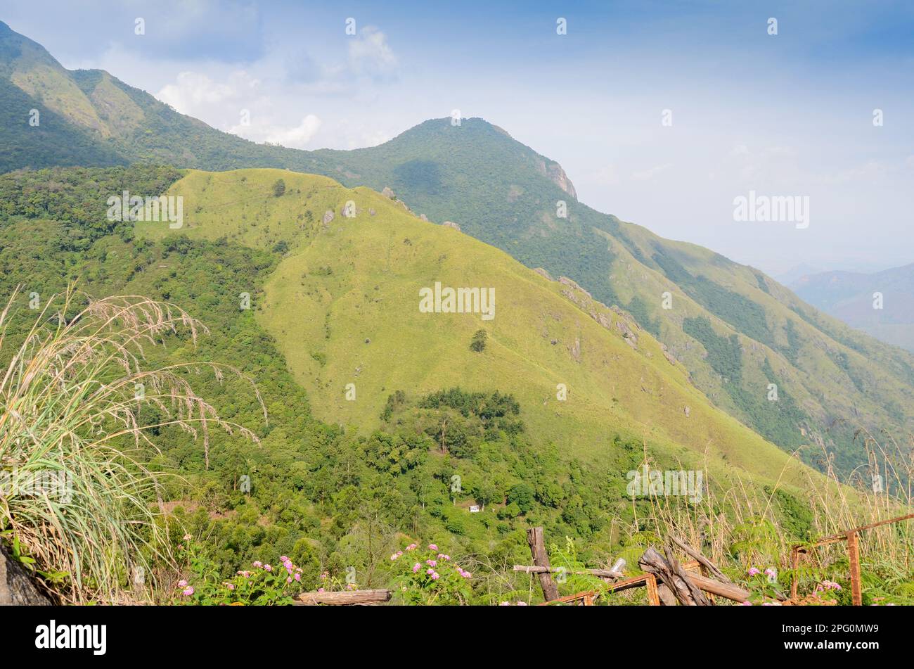 Misty mountains of Munnar, Kerala, India Stock Photo