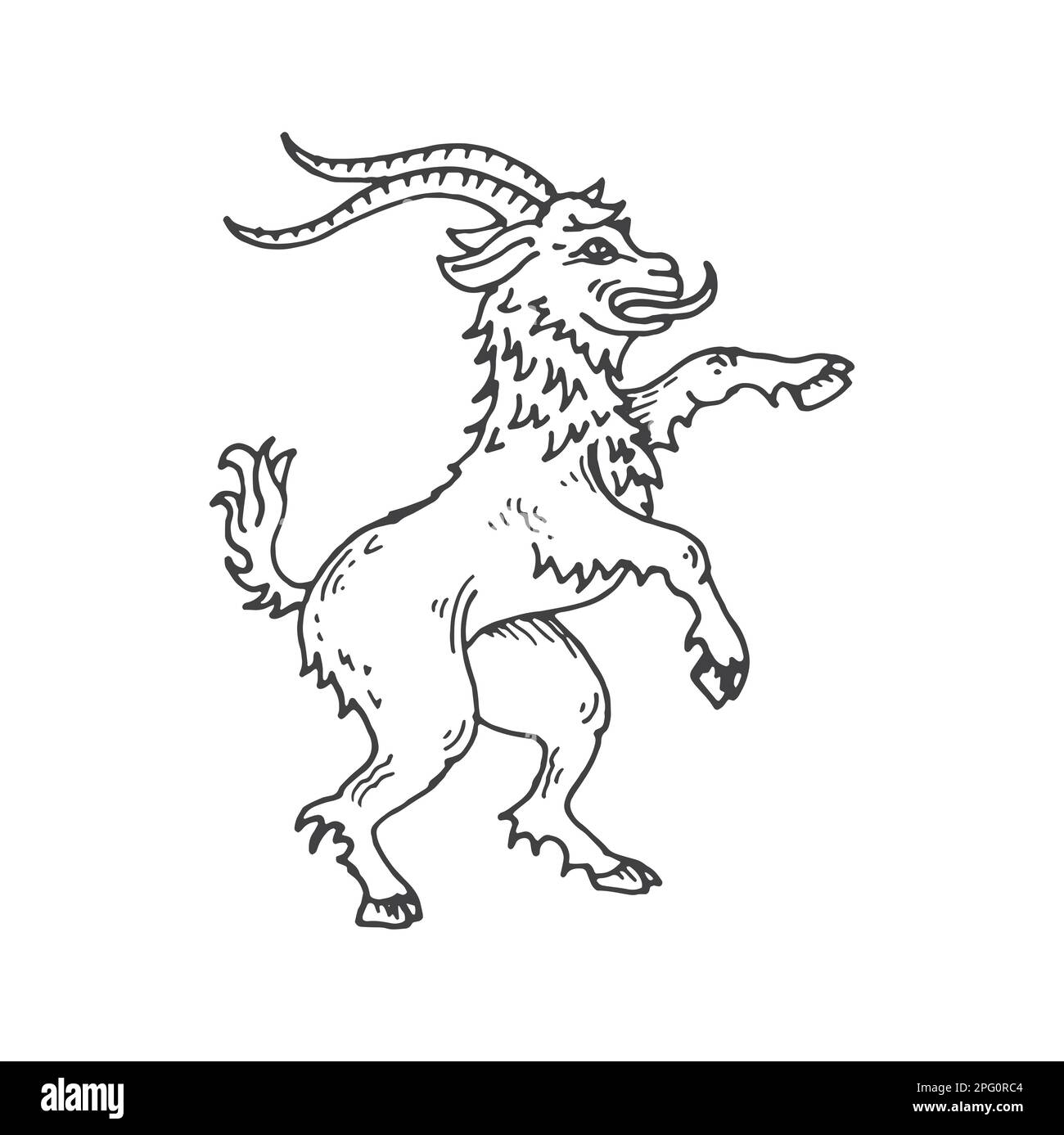 Goat medieval heraldic animal sketch. Magic animal, legend rampart goat