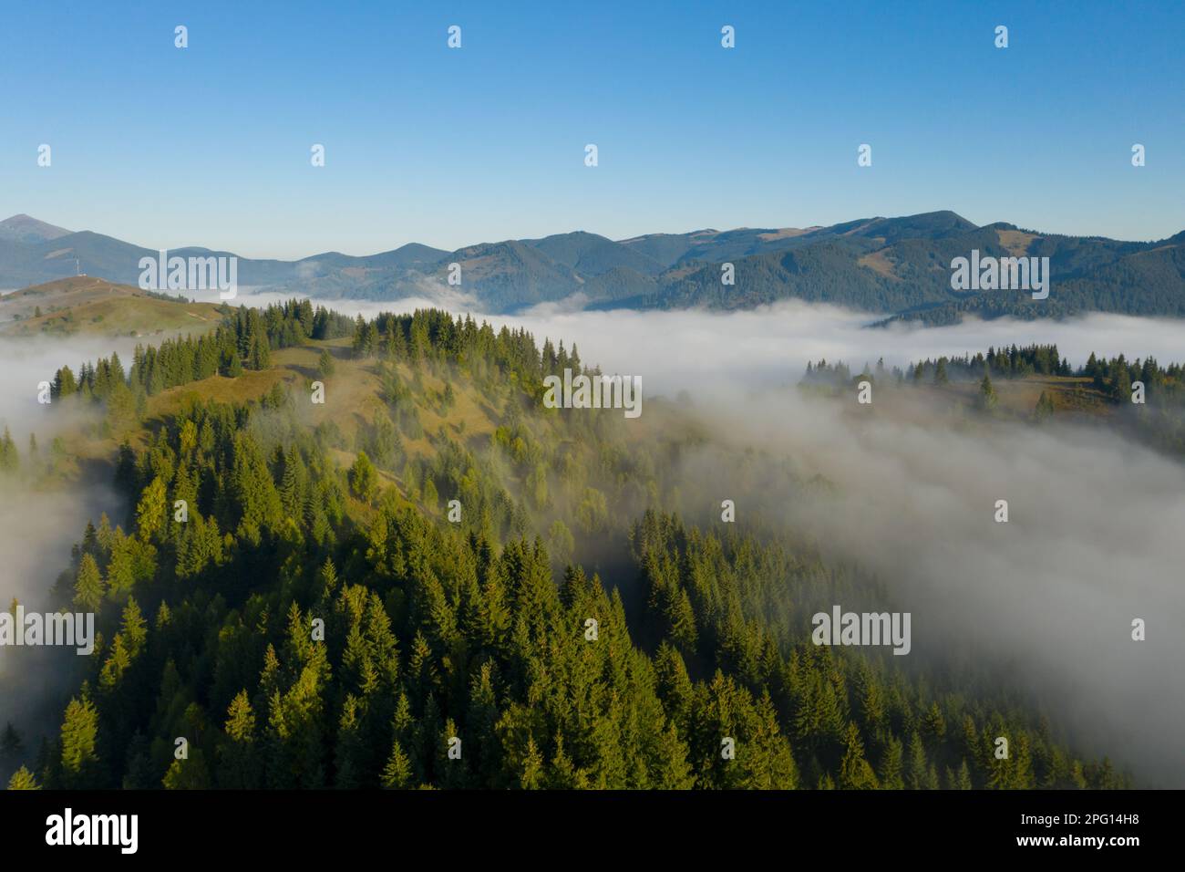 Aerial view of beautiful landscape with misty forest Stock Photo - Alamy