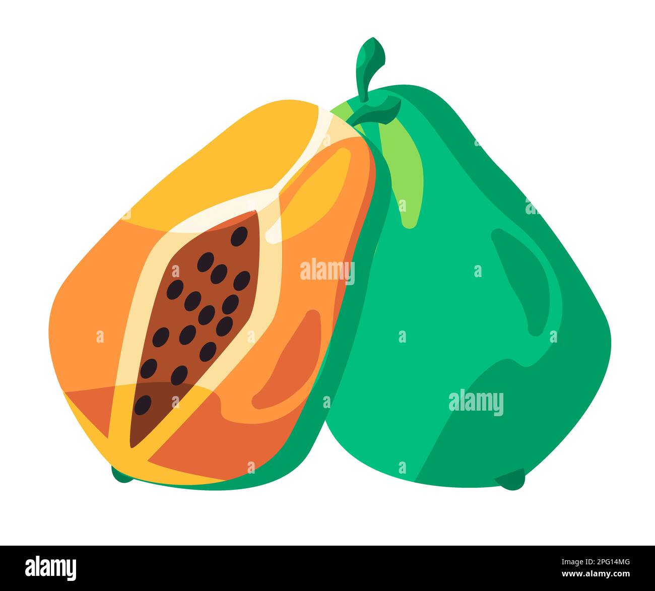 Papaya sliced orange fruit drawing asian illustration Stock Vector