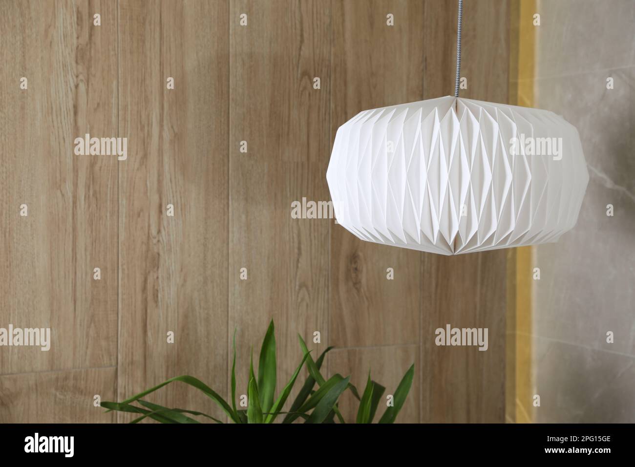 Modern lamp hanging over green plant in room, space for text. Interior ...
