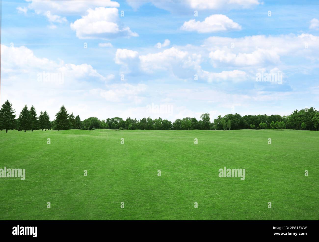 Beautiful view of park with green grass on sunny day Stock Photo - Alamy