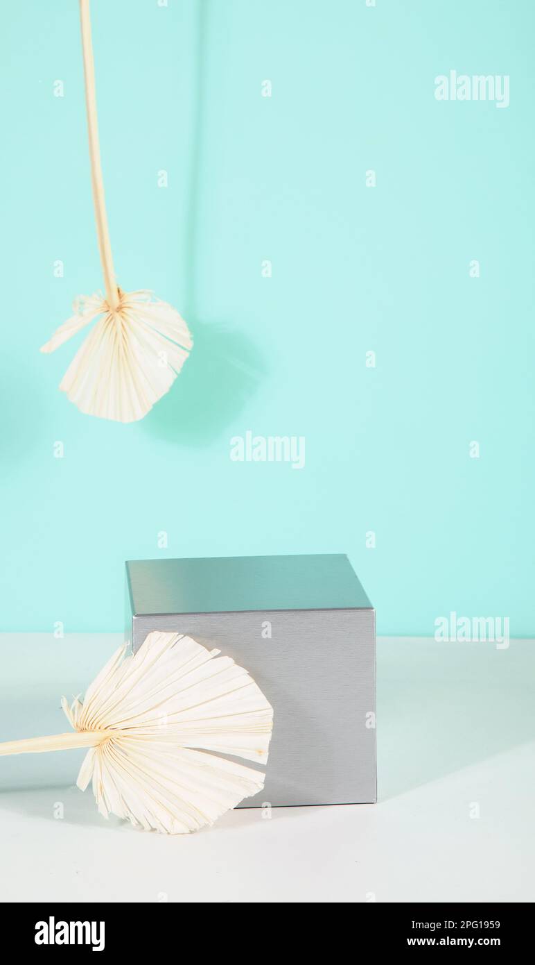 Abstract minimal scene for mockup products, stage showcase, promotion display. Stock Photo