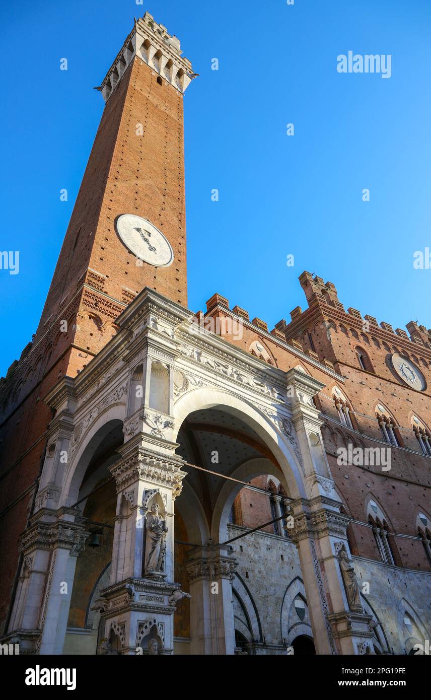 Tower called Del Mangia in Siena City in Tuscany in Central Italy and the  architectnic base called the chapel of the square Stock Photo - Alamy