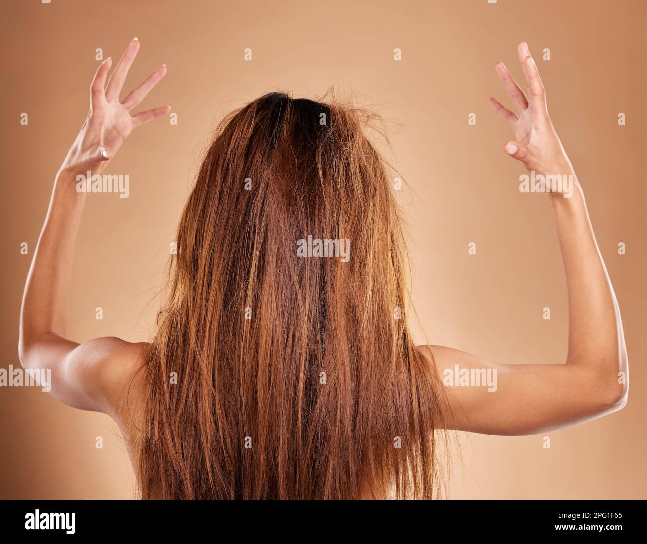 Messy, tangled and back of a woman in a studio with knot, brittle and