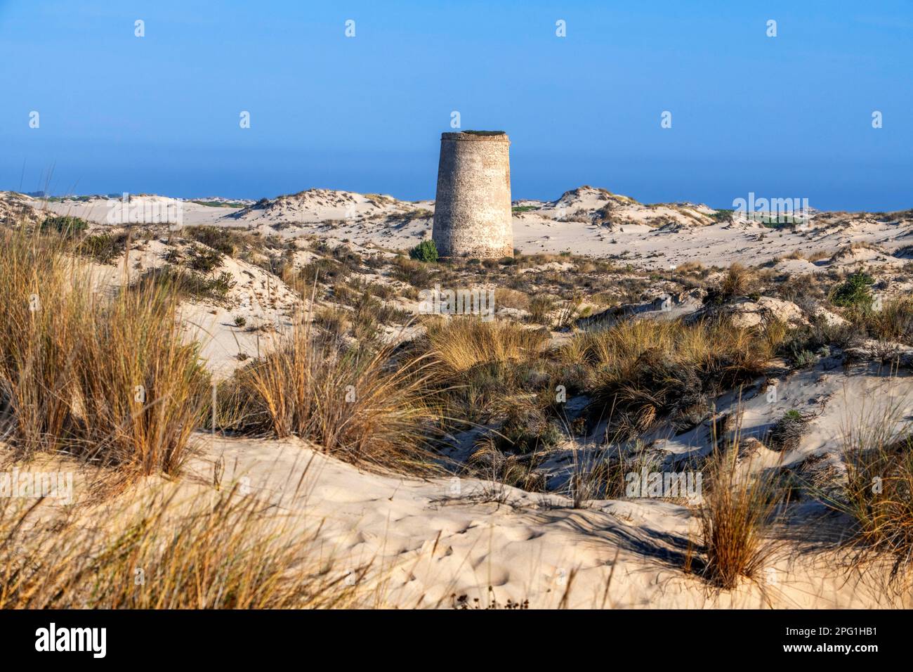 Foto de Torre Carbonero en Almonte, Huelva