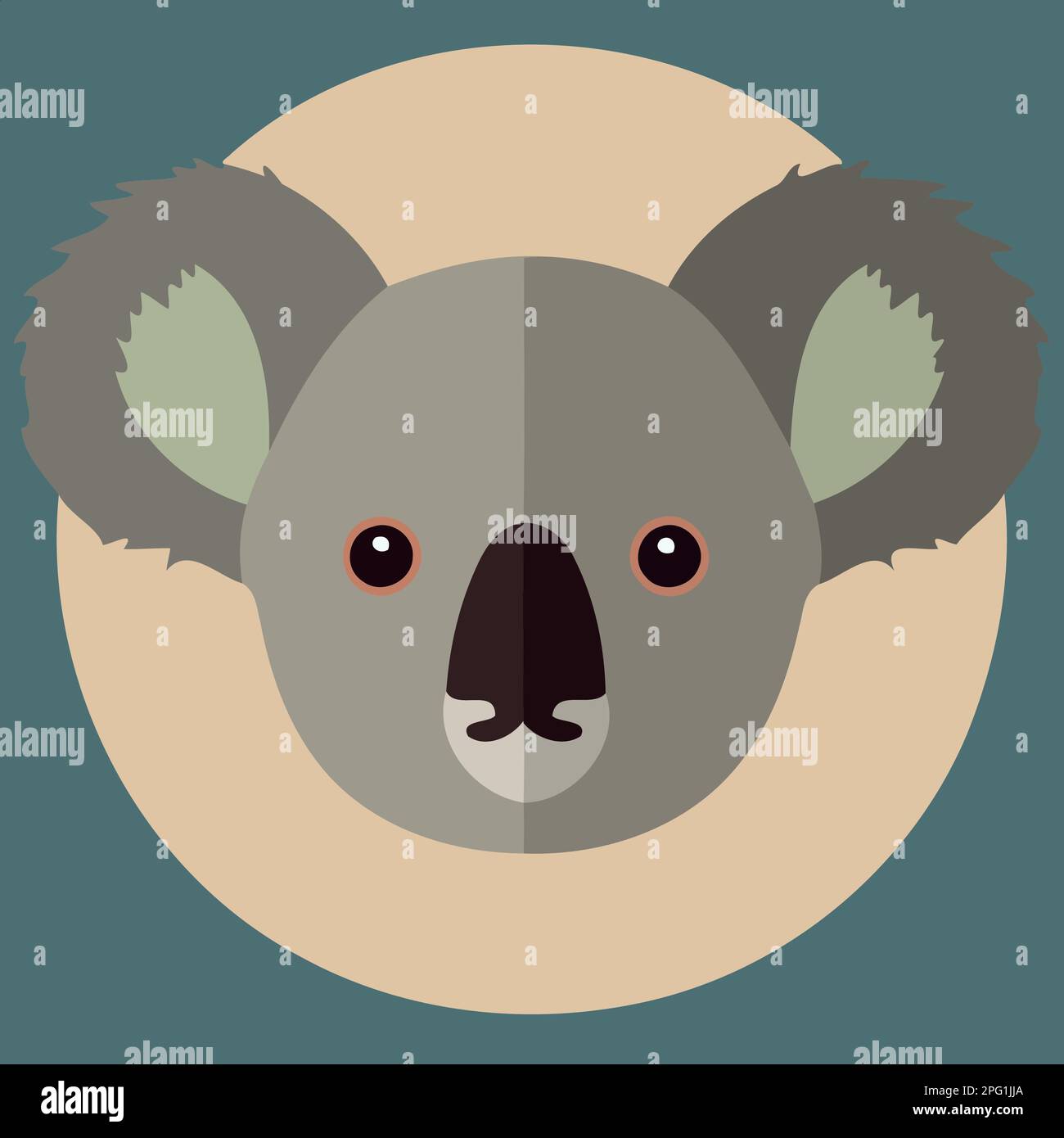 common koala herbivore mammal animal face Minimalist vector ...