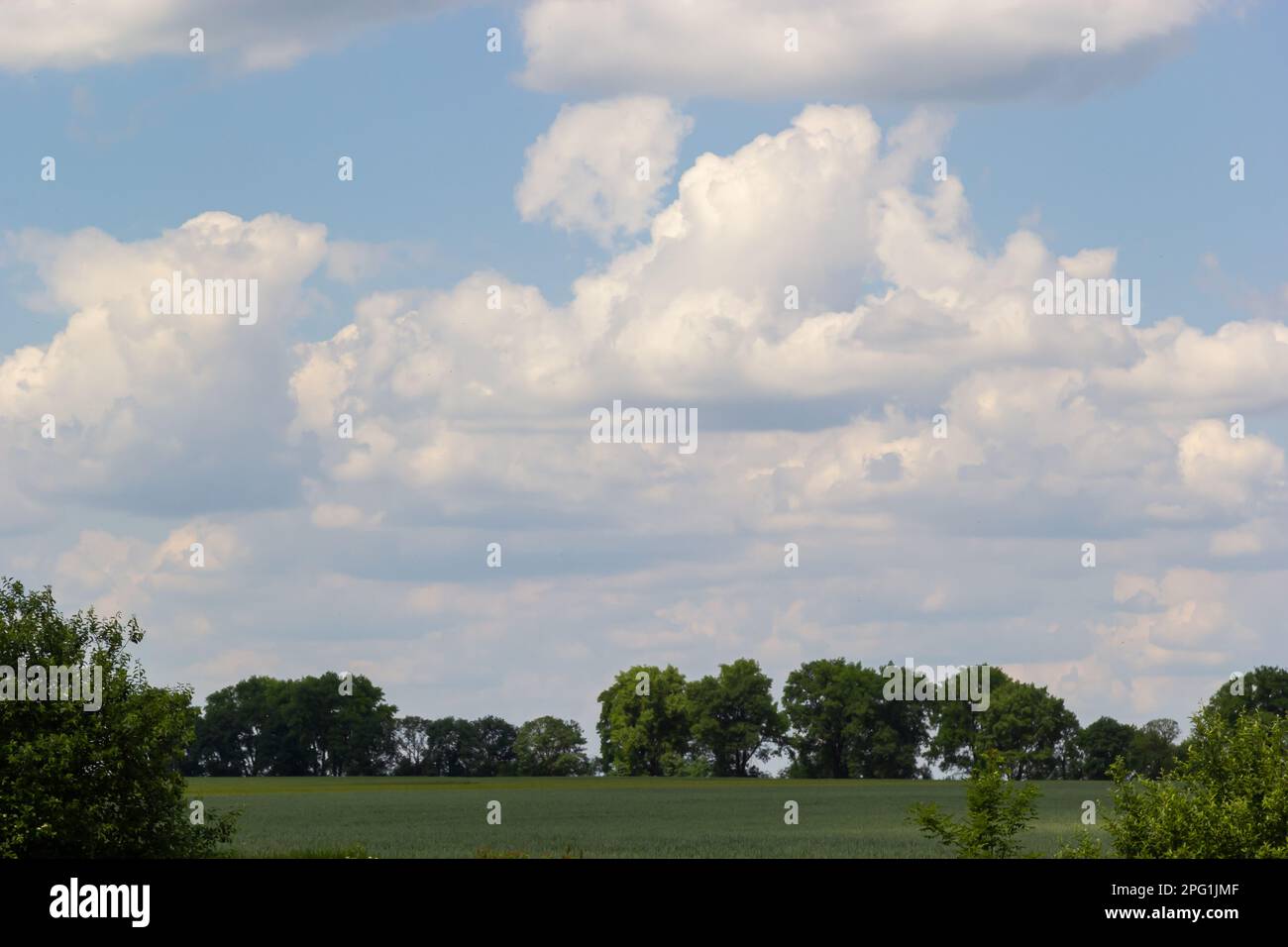 Green hilly landscape in spring hi-res stock photography and images - Alamy