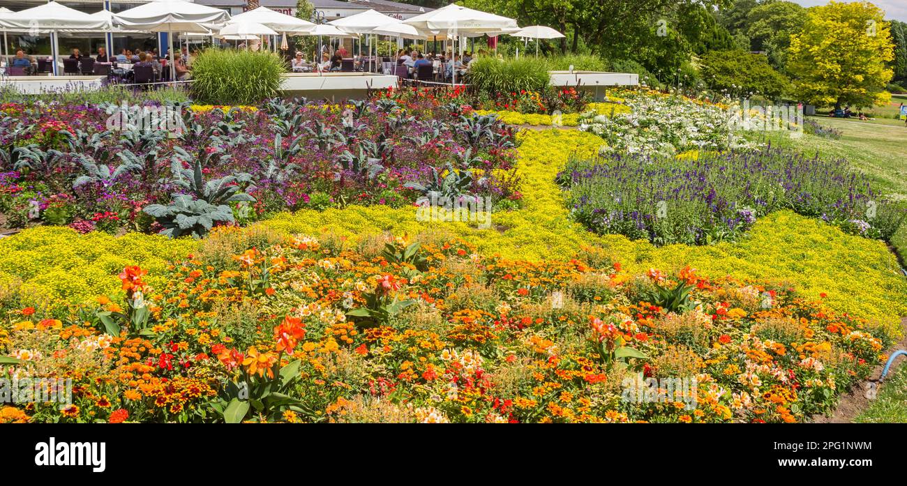 Panorama of the flowers and plants in front of a restaurant in Dortmund, Germany Stock Photo Alamy