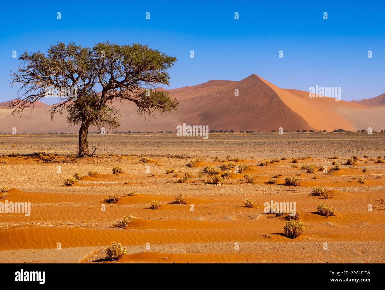 Namibia Sand Sossusvlei, Red Sand Dunes in Namibia, located in the southern part of ...