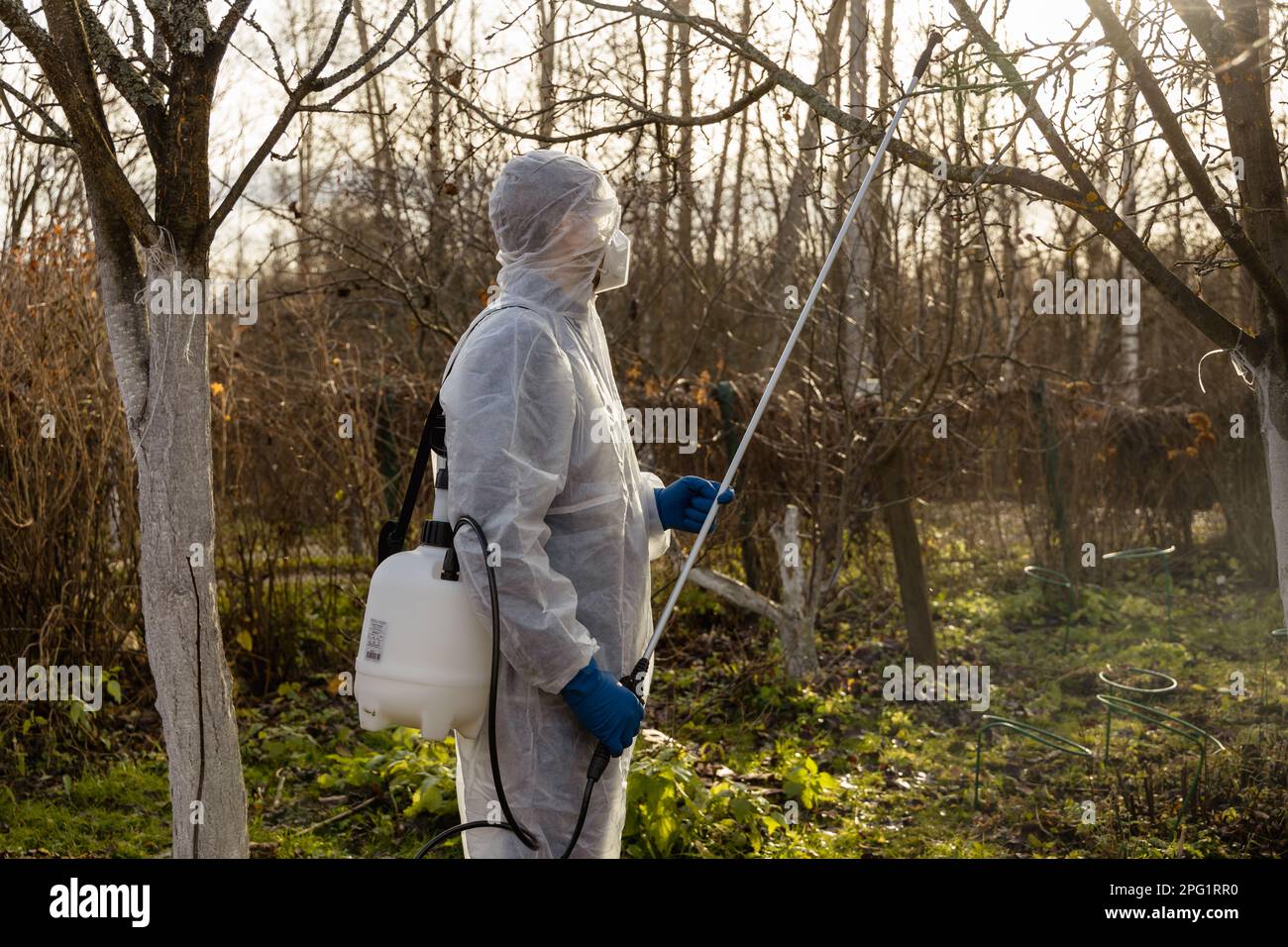 Using chemicals in the garden orchard gardener applying an insecticide