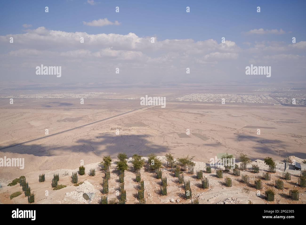 Desert landscape with growing young trees. Stock Photo