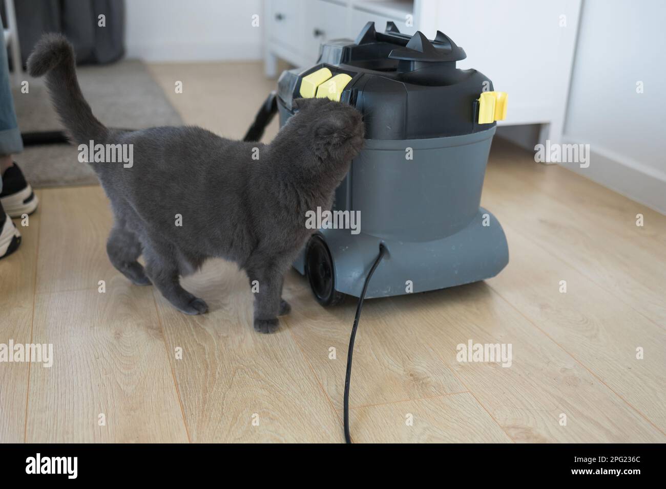 British vacuum cleaner hi-res stock photography and images - Page 3 - Alamy