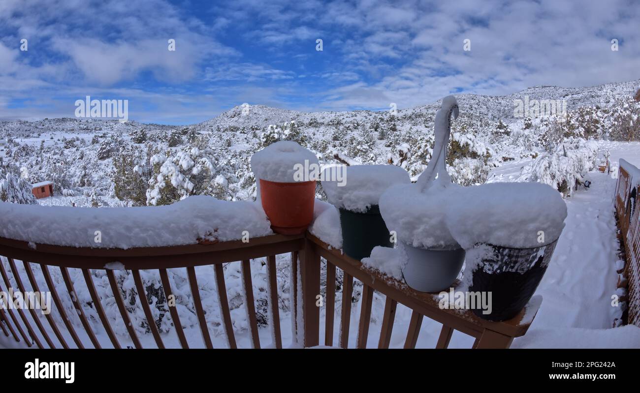 Dollar General Chino Valley Az Hours Christmas Day 2024 Annie Nicolina