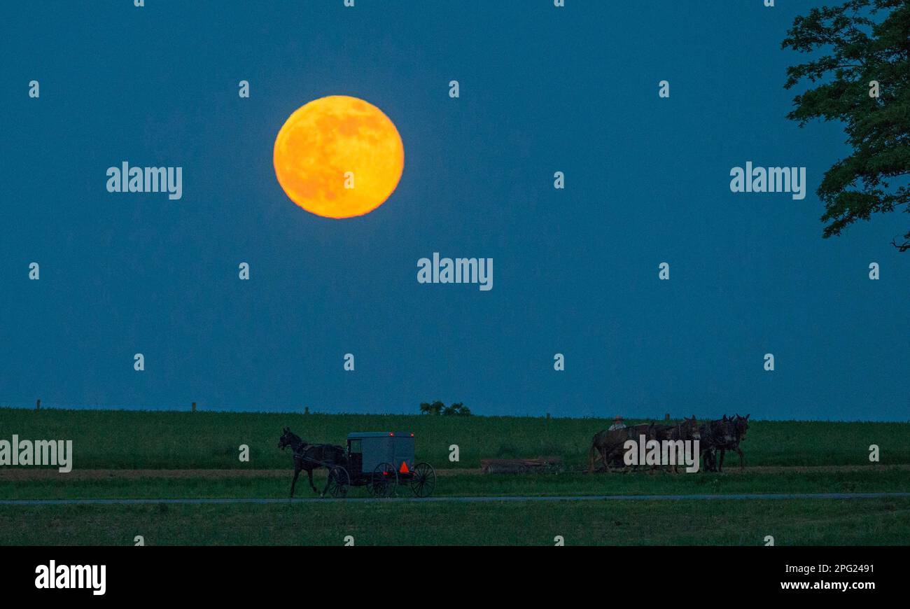 Amish buggy and full moon. Stock Photo