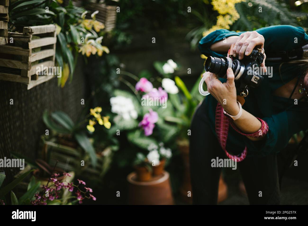 Woman photographs flowers in garden with DSLR camera Stock Photo