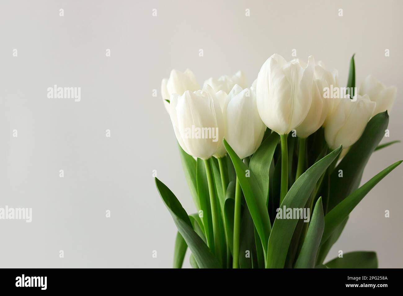 Tulip flowers bouquet on white background Stock Photo - Alamy