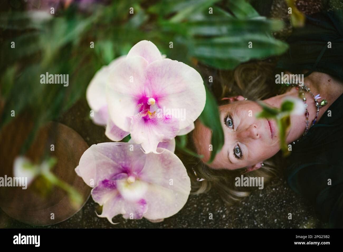 Double gaze hi-res stock photography and images - Alamy