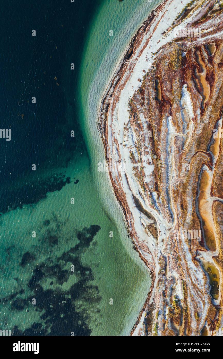 Plants and trees on the surface. Aerial view of majestic landscapes of ...