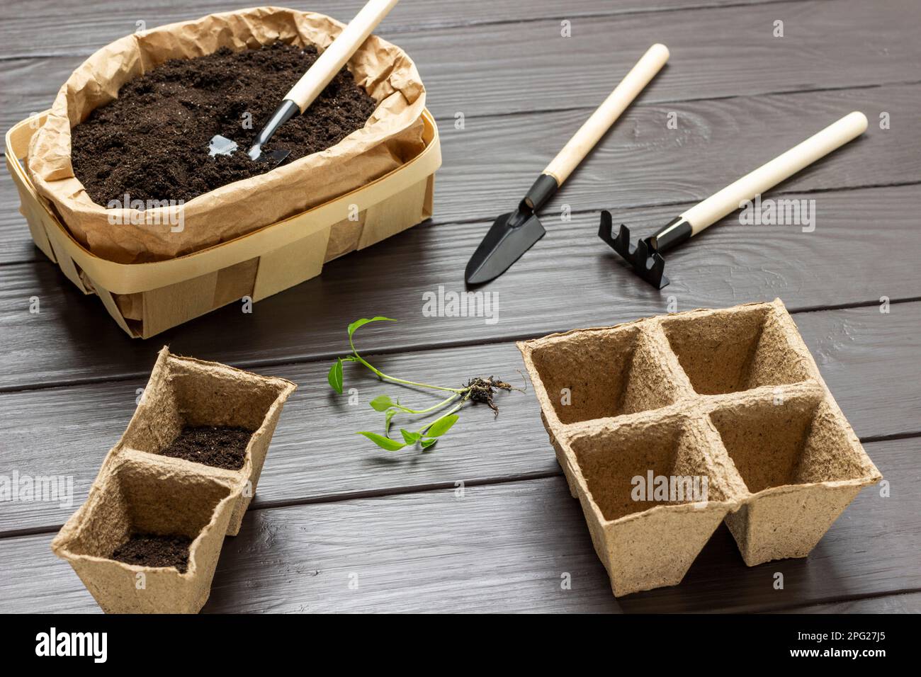 The peat pots are empty and filled with soil. Paper bag with soil
