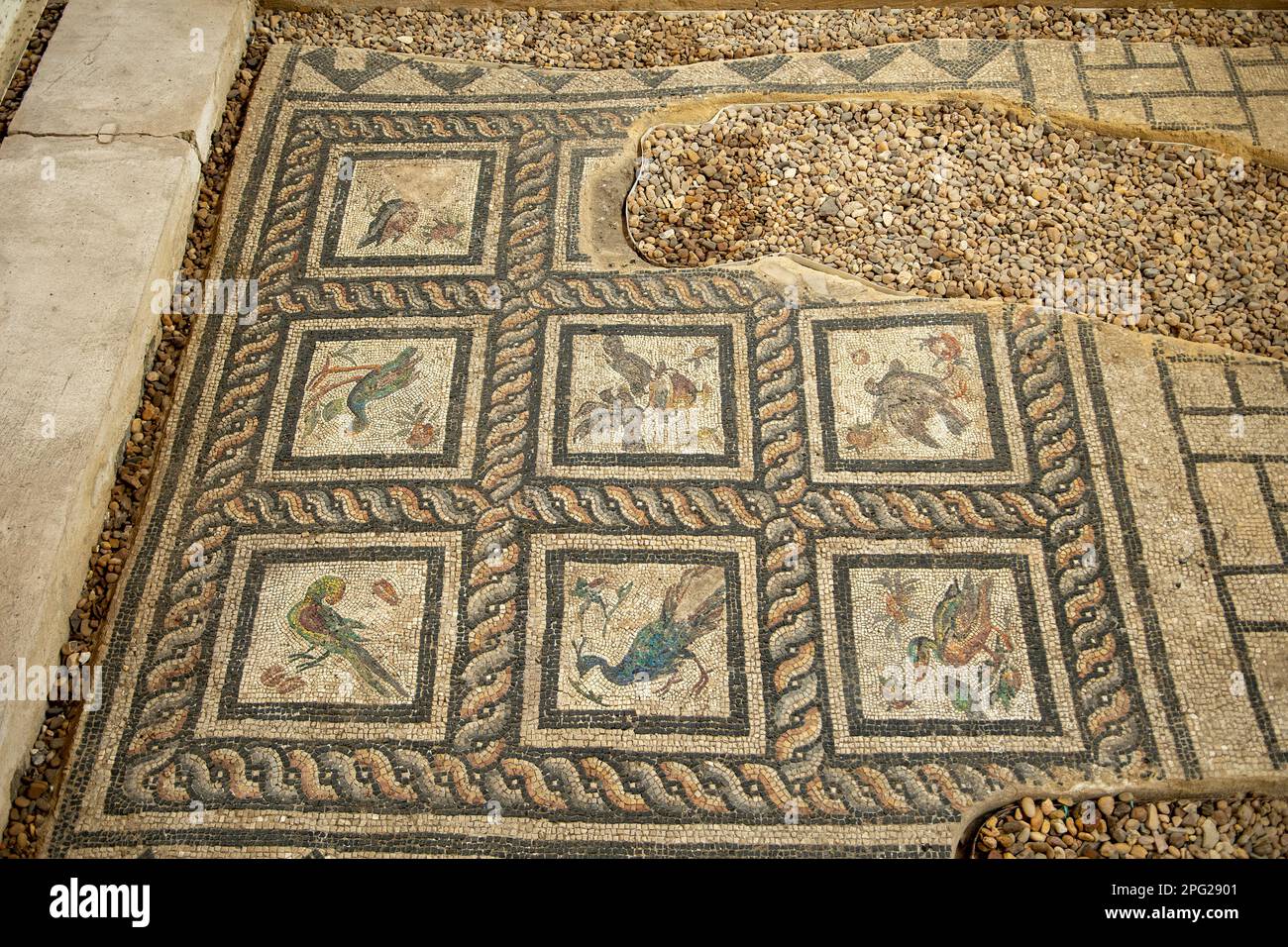 Mosaics in Villa of the Birds at Kom el-Dikka, Alexandria, Egypt Stock Photo