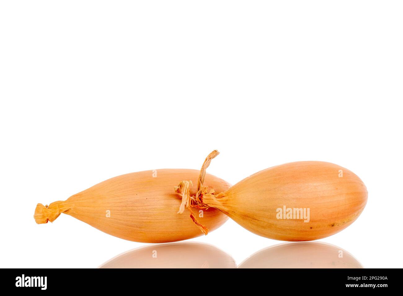 Two golden shallots, macro, isolated on white background. Stock Photo