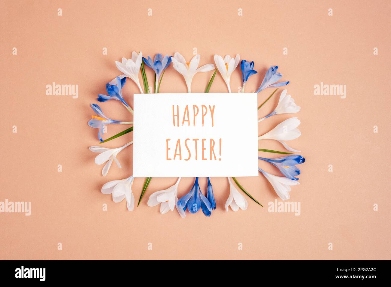 Card with words Happy Easter and frame of crocus flowers on neutral background. Top view, flat lay. Stock Photo