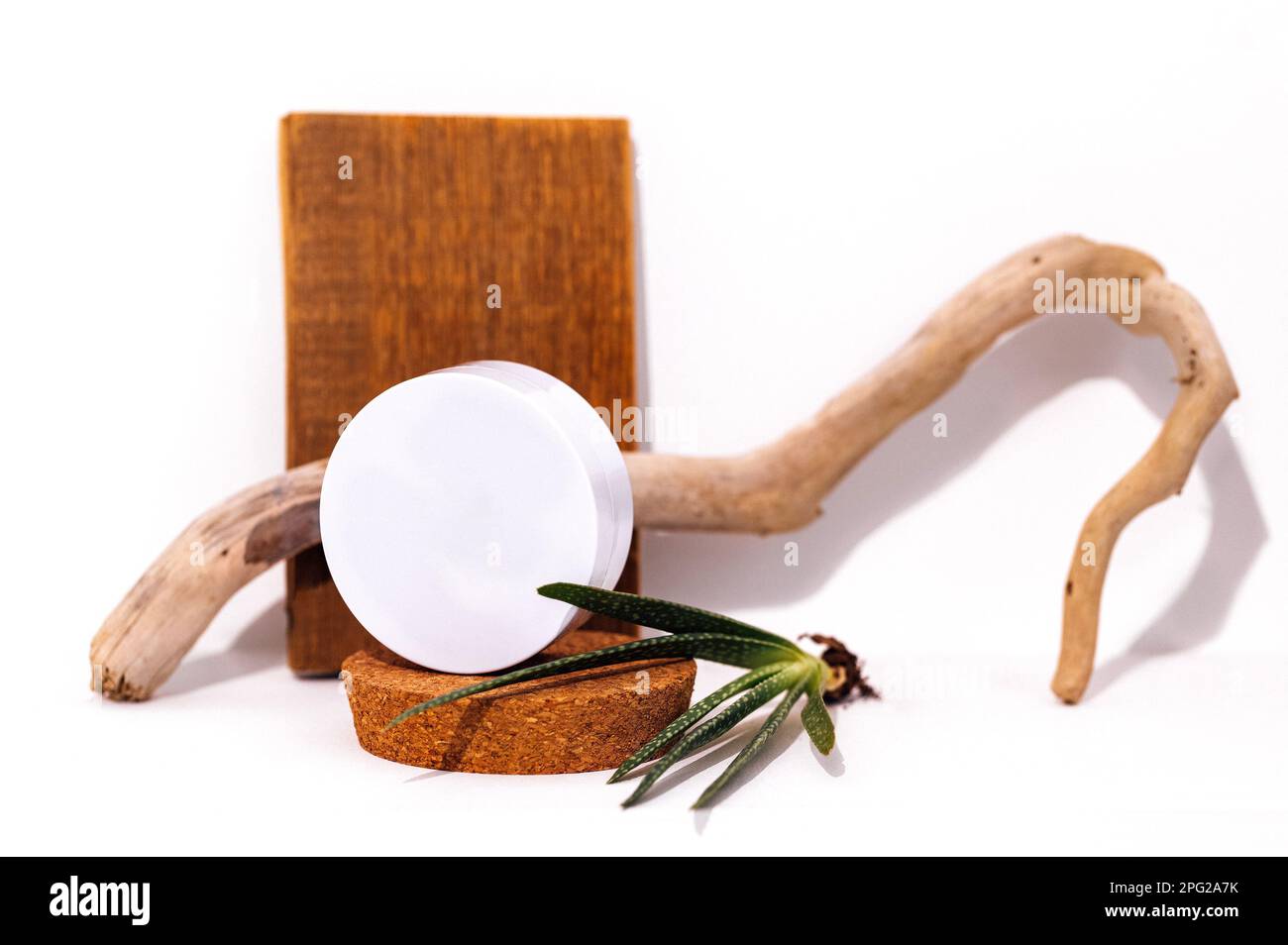 Mockup of round box for beauty product on cork stage and aloe plant. Branch or tree root and wooden plank in background. White backrop. Free spase for Stock Photo