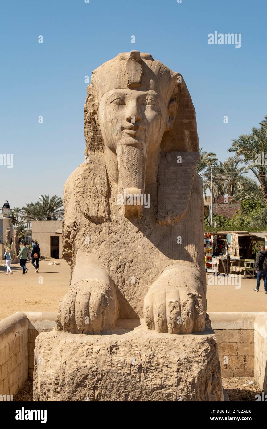 Alabaster Sphinx of Amenophis II at Mit Rahina Museum, Memphis, near
