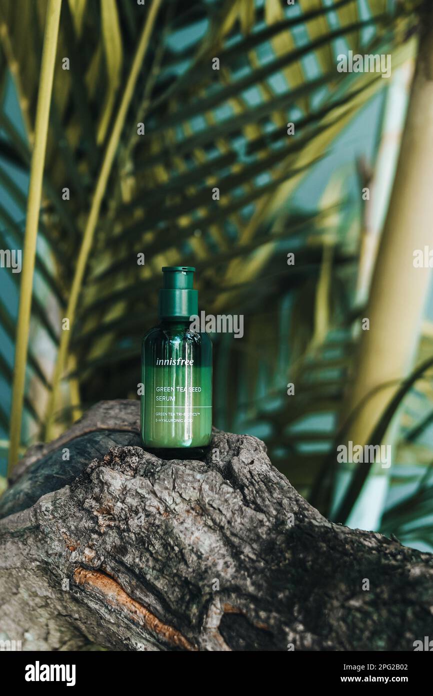 Innisfree Green Tea Seed Serum on a stand made of natural wood against the backdrop of tropical palm trees. South Korean skin care cosmetics Stock Photo