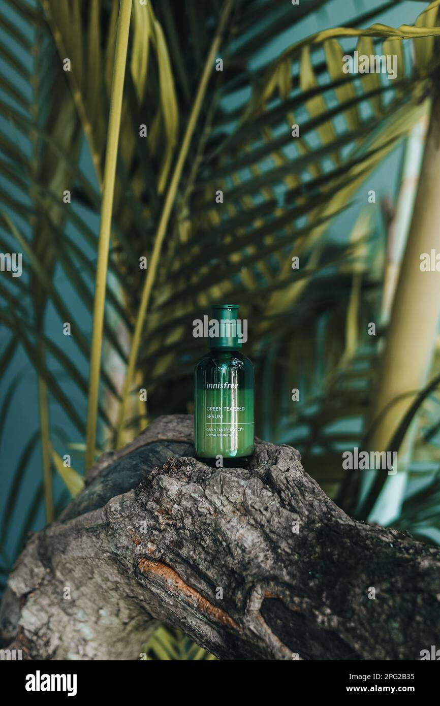 South Korean Innisfree Green Tea Seed Serum on a wooden stand against tropical palms. Skin care cosmetics Stock Photo