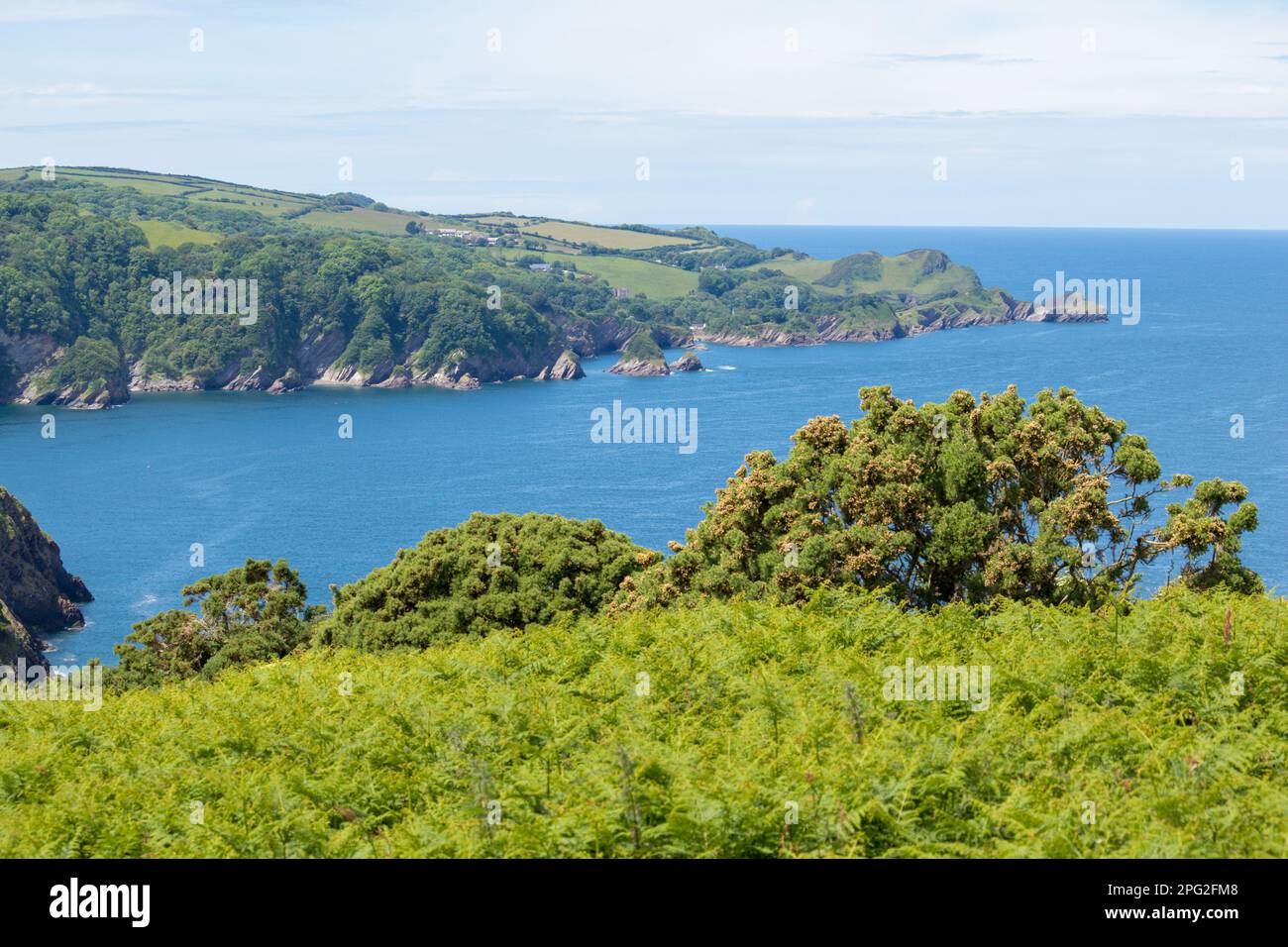 Combe Martin Bay, North Devon, UK Stock Photo Alamy