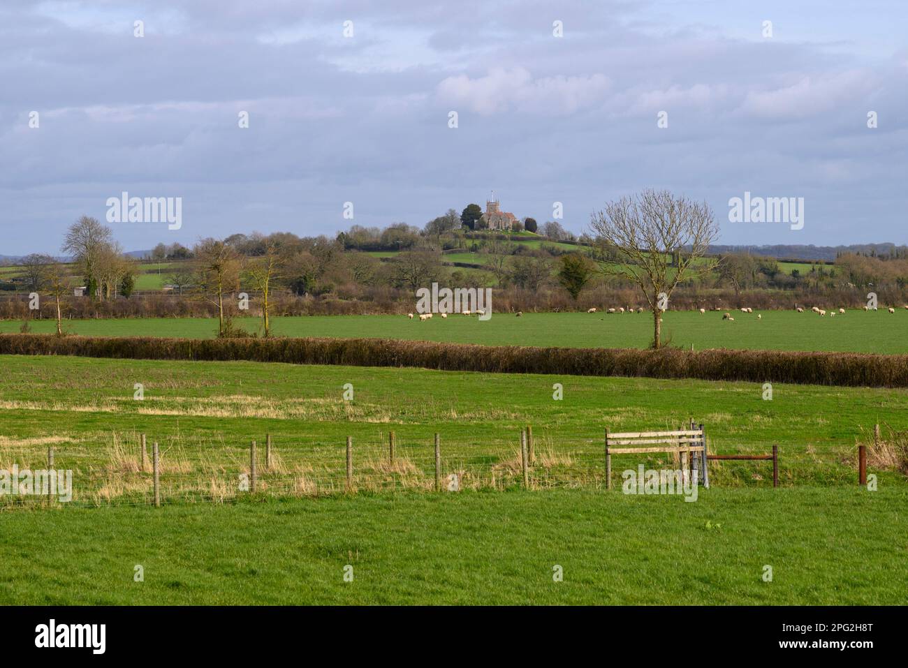 Distant view of St Arilda church on a hill, Oldbury-on-Severn, South Gloucestershire, England, UK Stock Photo