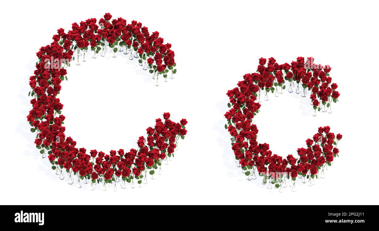 Concept or conceptual set of beautiful blooming red roses bouquets ...