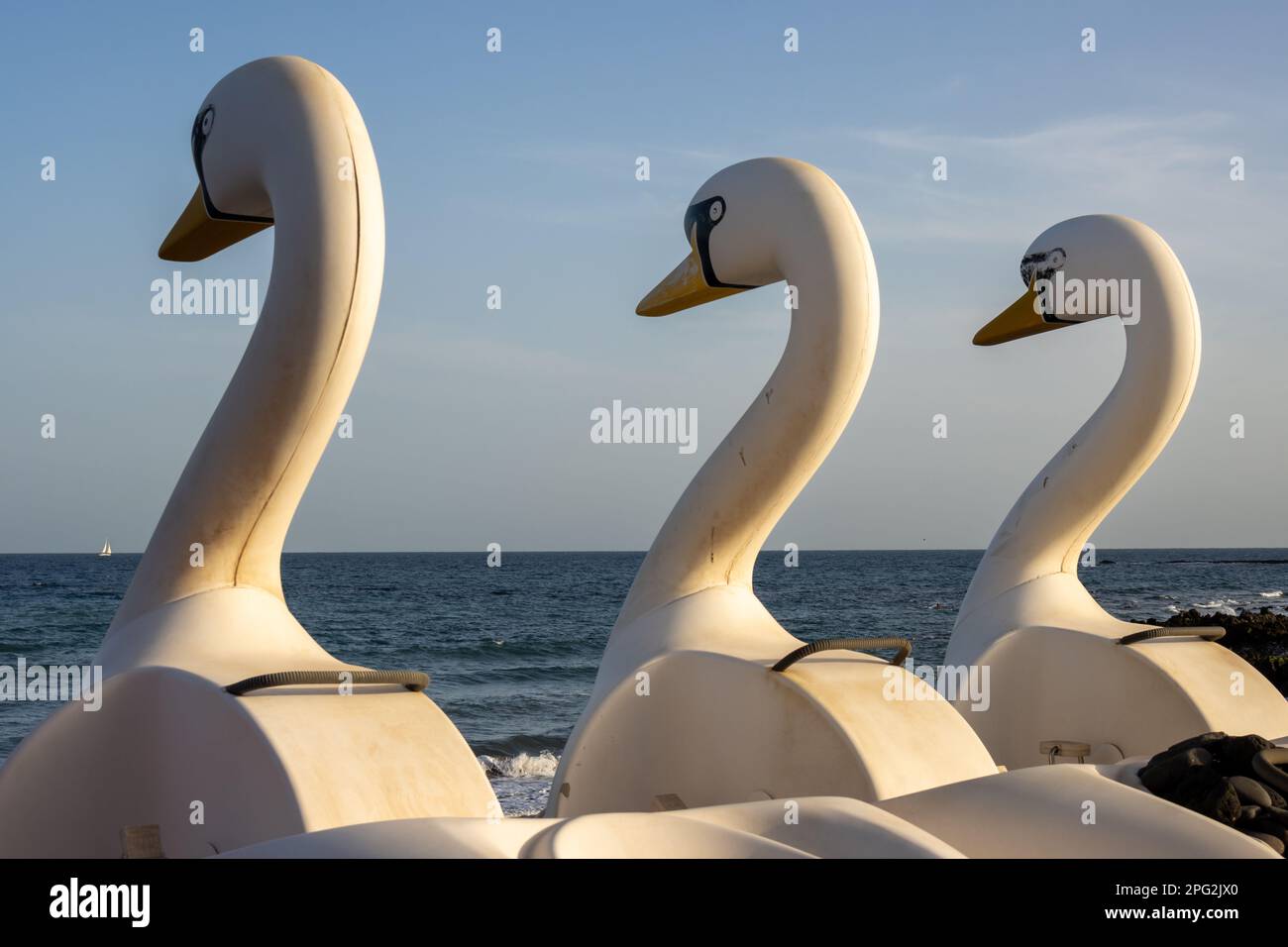 Three water bikes in a shape of a swan, made of plastic, parking on a