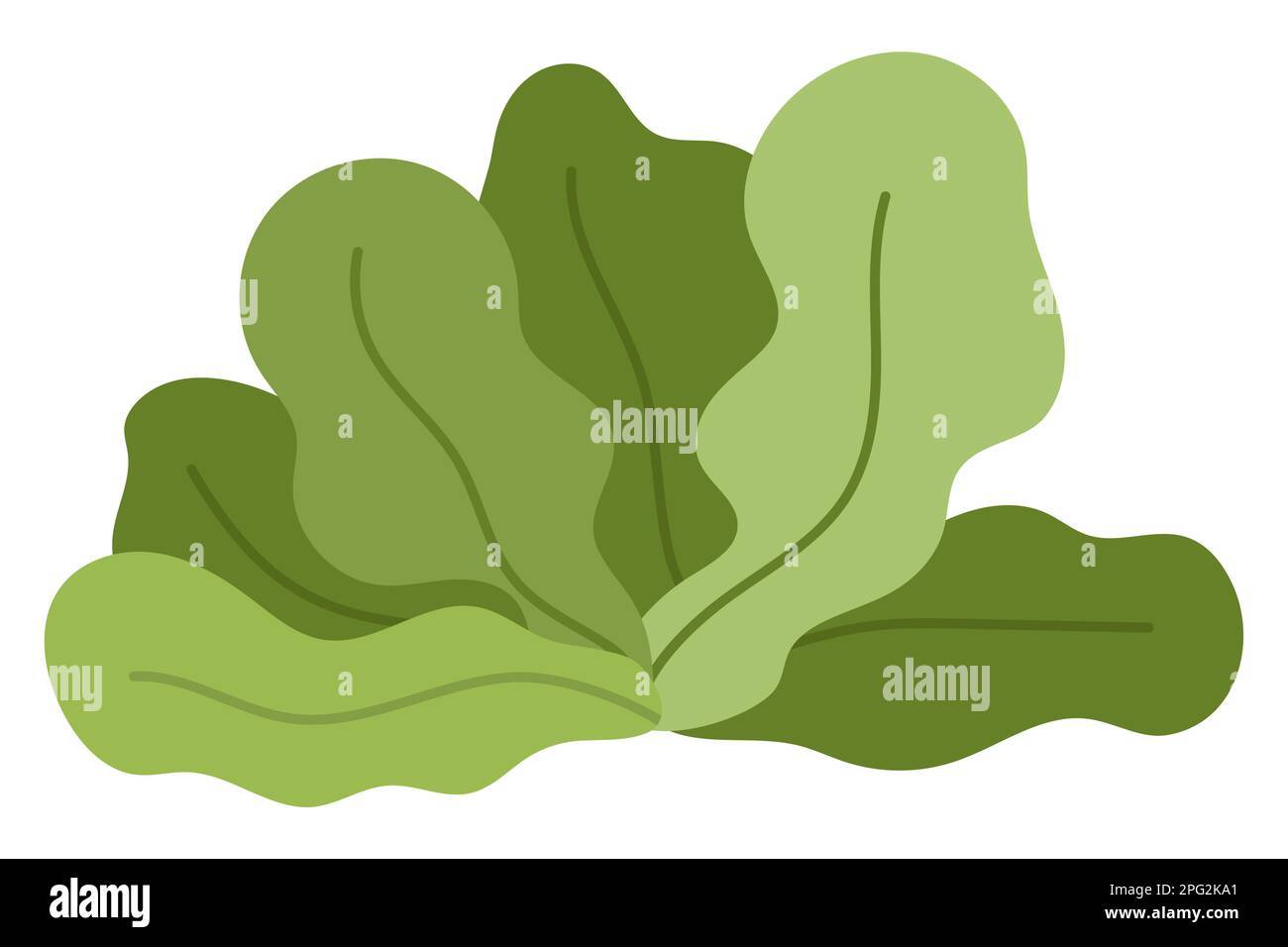 Vector green seaweeds icon. Under the sea illustration with cute kelp