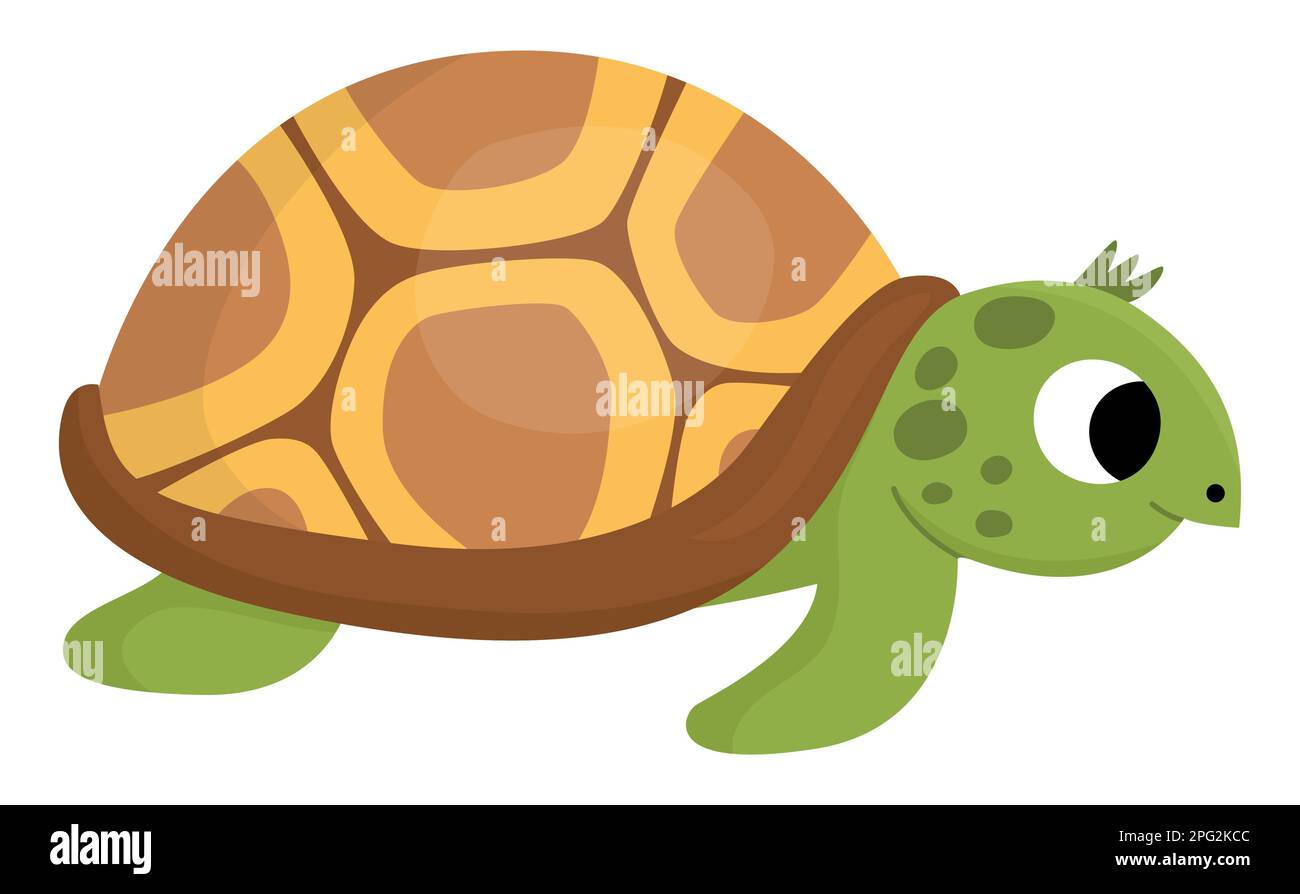 Vector tortoise icon. Under the sea illustration with cute funny ocean